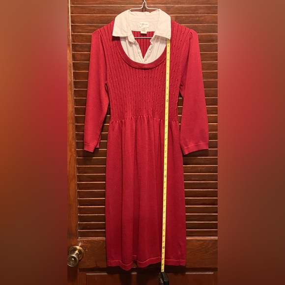 Gorgeous Garnet colored soft sweater dress w/cotton collar. S/M lots of stretch! - Picture 10 of 11